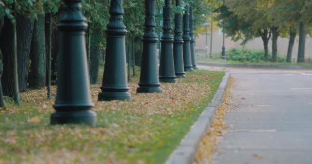 Hojas caídas en callejón soplado por el viento en el parque de otoño, hojas amarillas en la carretera — Vídeos de Stock