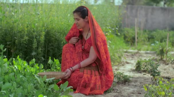 Campesina India Que Trabaja Campo Cultivo Agricultura Granjero Indio Mediana — Vídeo de stock