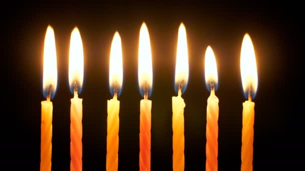 Conjunto Velas Cumpleaños Ardiendo Brillantemente Sobre Fondo Negro Primer Plano — Vídeo de stock