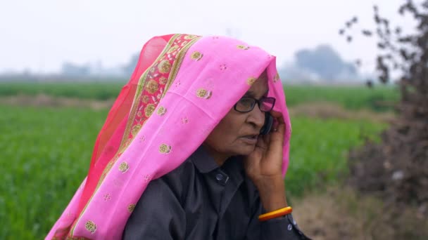 Medium Shot Old Lady Talking Mobile Amidst Green Farmlands Elderly — Stock Video