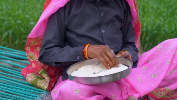 Tiro Mediano Una Mujer India Pueblo Quitando Piedras Del Arroz — Vídeos de Stock