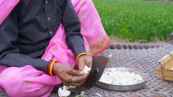 インドのナイフで野菜を切る女性の手のショットを閉じます 伝統的な衣服を身に着けている老婦人 夕食の準備のために伝統的な野菜カッターを使用して野菜を切る — ストック動画