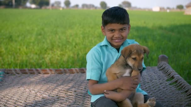 ベッドに座って子犬を手にしている男の子とインドの村のシーン 膝の上に小さな犬と緑の農地の中でカジュアルな服を着た田舎の少年の中で撮影 — ストック動画