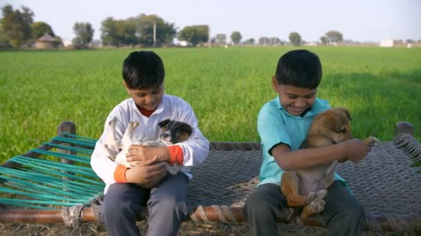 Lindos Niños Pequeños Jugando Felizmente Con Cachorros Mientras Están Sentados — Vídeo de stock