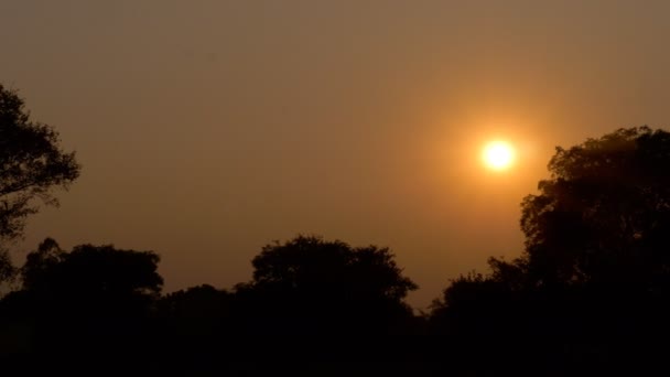 Panoramablick Auf Ein Indisches Dorf Mit Einem Leuchtend Orangen Himmel — Stockvideo