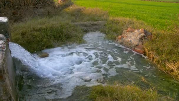 Scena Satului Apă Dulce Care Intră Câmpurile Agricole Conceptul Irigare — Videoclip de stoc