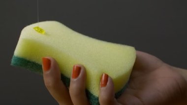 Bulaşık deterjanı sarı ve yeşil bir süngerin üzerine düşer. Birkaç damla bulaşık jeliyle mutfak süngeri tutan Hintli bir kadının elleri. Ev işi kavramı.