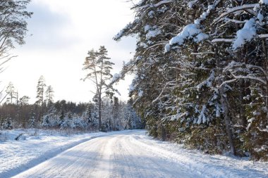 Karlı yol karla kaplı güzel ormanlar arasında kıvrılıyor. Muhteşem beyaz kış manzarası. Güneşli kış günü.