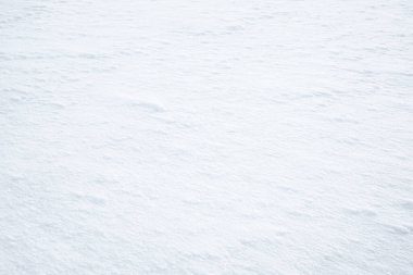 Kar zemini. Beyaz karlı zemin. Kış boyunca kış uykusunda doğa.