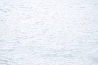 Kar zemini. Beyaz karlı zemin. Kış boyunca kış uykusunda doğa.