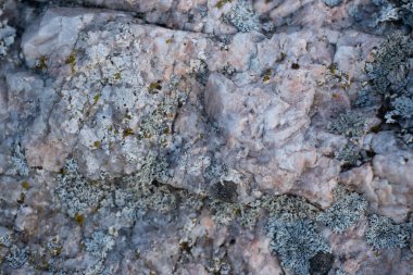  Taş zemin. Kaya dokusuyla güzel bir arkaplan