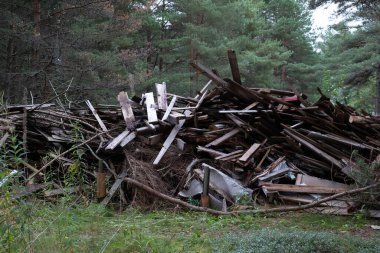 Doğadaki eski yıkım malzemeleri, yıkım atıkları. Ormanda yakılmayı ve geri dönüştürülmeyi bekleyen büyük bir inşaat atığı yığını.