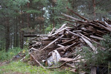 Doğadaki eski yıkım malzemeleri, yıkım atıkları. Ormanda yakılmayı ve geri dönüştürülmeyi bekleyen büyük bir inşaat atığı yığını.