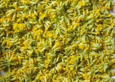 İnek donu. İnek gülü çiçekleri deniyorum. Tepside taze otları kurutan hava..