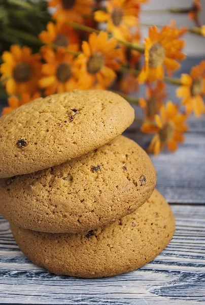 Oatmeal cookies — Stock Photo, Image