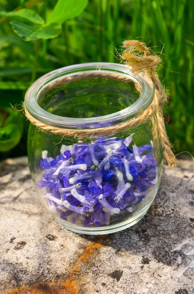Blauwe bloemen in een glazen pot op steen — Stockfoto