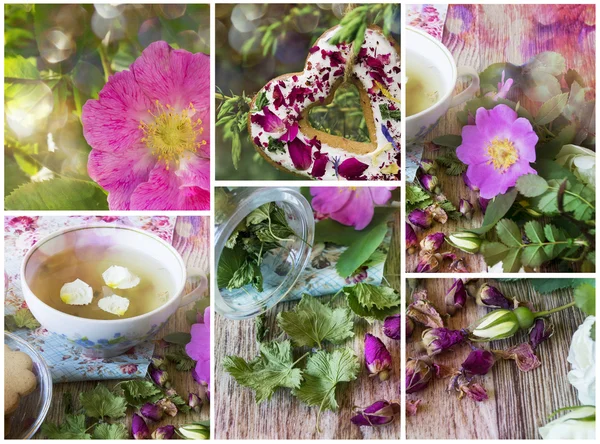 Gül kolaj ile bitkisel çay — Stok fotoğraf