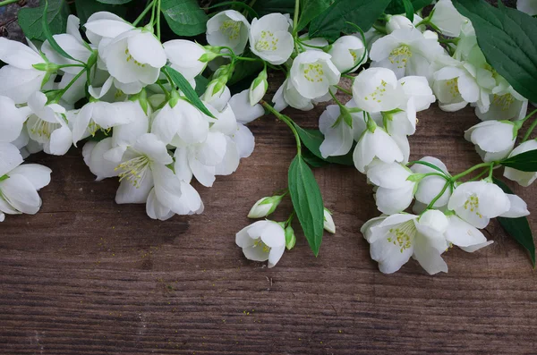 Flores de jazmín sobre un fondo de madera oscura —  Fotos de Stock