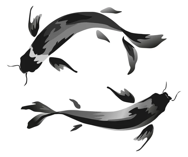 Ink Koi carp illustration. Vector image. — Stock vektor