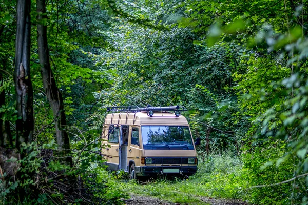 Kahverengi karavan doğada, Alman Ormanı