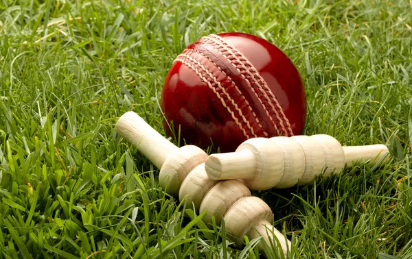 Pelota de cricket — Foto de Stock