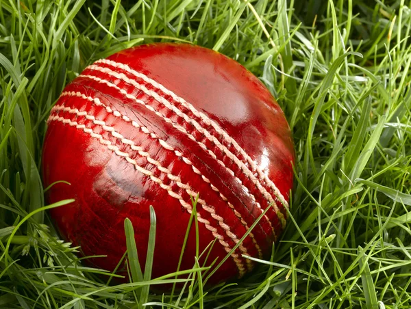 Cricket ball — Stockfoto
