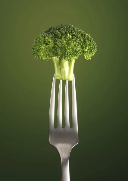 Brocolli — Stock fotografie