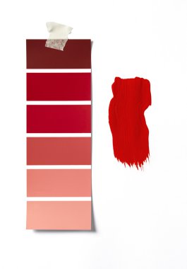 boya renk örneği