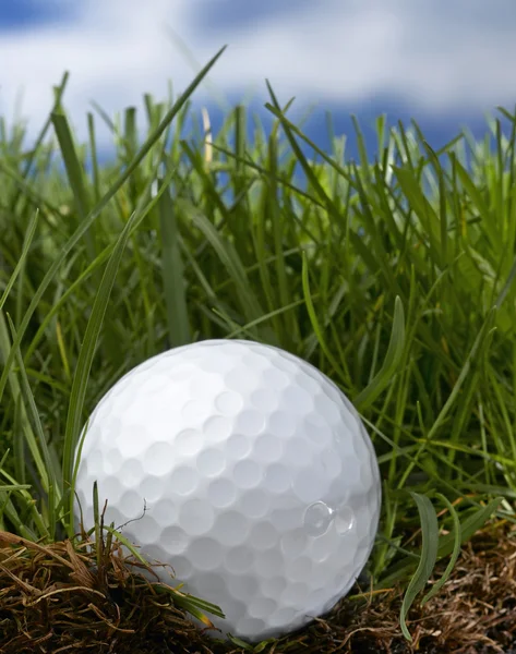 Pelota de golf —  Fotos de Stock