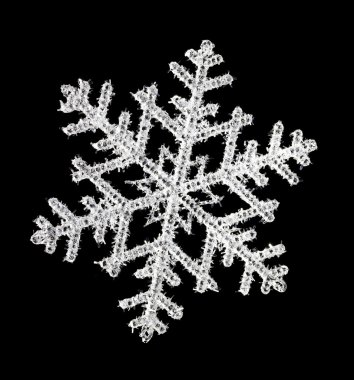 Siyah Gümüş kar tanesi