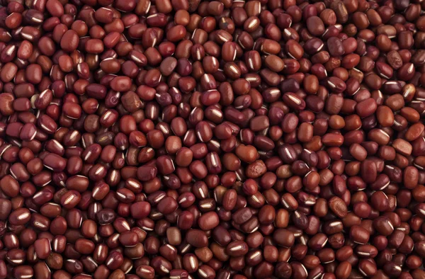 Adzuki Beans — Stock Photo, Image