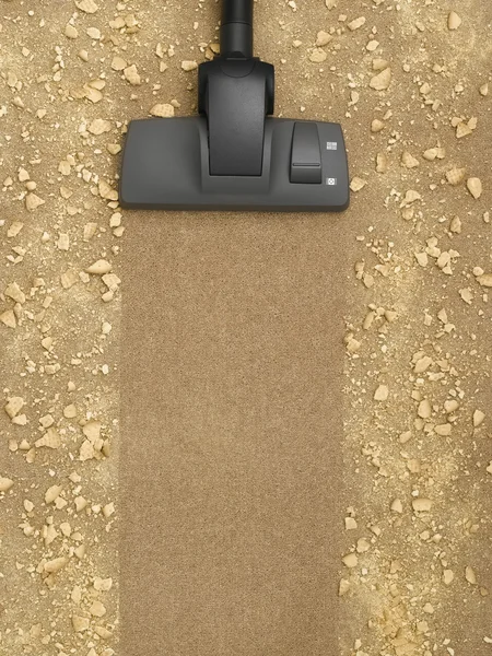 Halıyı temizleyen elektrikli süpürge.