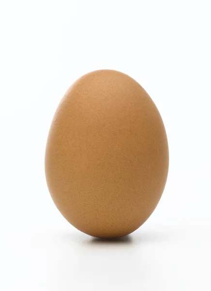 Single chicken egg — Stock Photo, Image