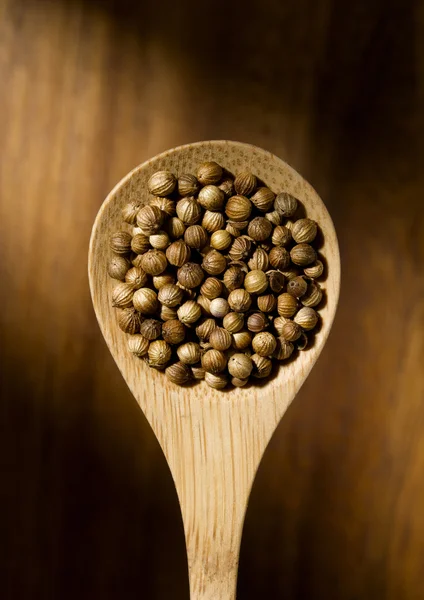 Coriander seeds in wooden spoon — Stock Photo, Image