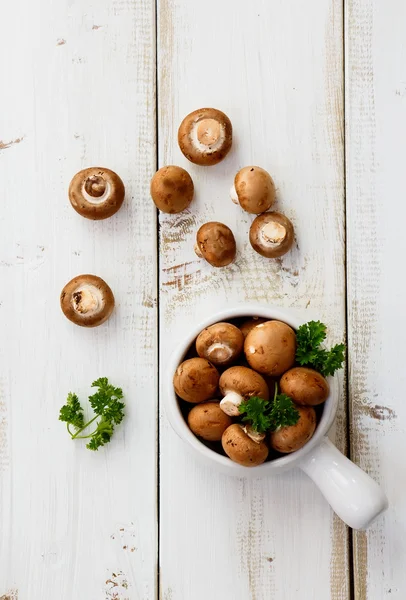 Mushrooms — Stock Photo, Image