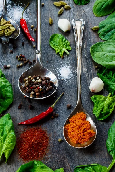 Spices — Stock Photo, Image