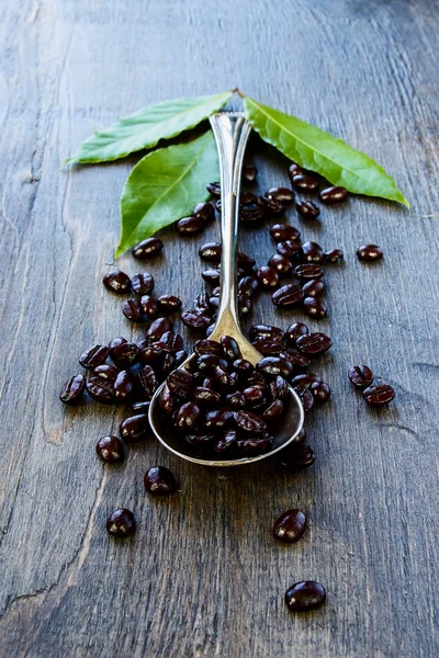 Coffee — Stock Photo, Image