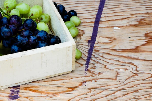 Grapes — Stock Photo, Image