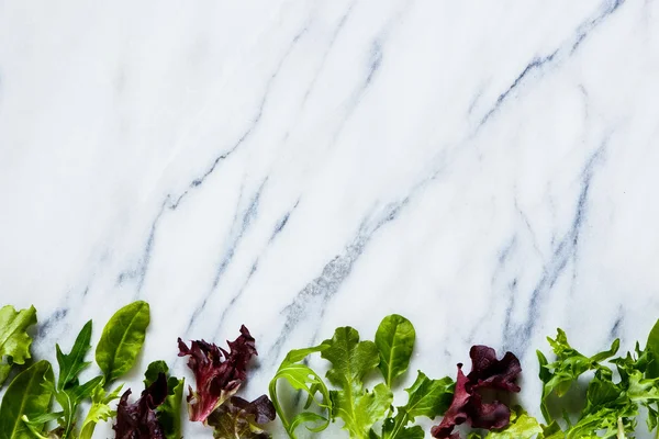 Ensalada de hierbas verdes — Foto de Stock