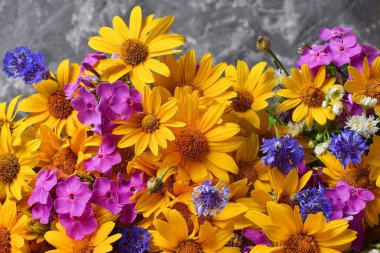 Parlak kır çiçekleri yakın plan sarı pembe mavi çiçek buketi