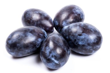 Taze ve sulu mavi erikler, beyaz arka planda izole edilmiş. Boşluğu kopyala.