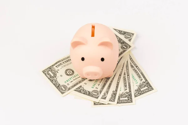 Cute Pink Piggy Bank Close Isolated White Background 예산안 사업은 — 스톡 사진