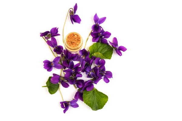 Hout Violet Viola Odorata Bloemen Met Een Kegel Voor Essentiële — Stockfoto