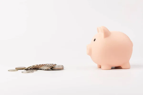 Cute Pink Piggy Bank Close Isolated White Background 예산안 사업은 — 스톡 사진