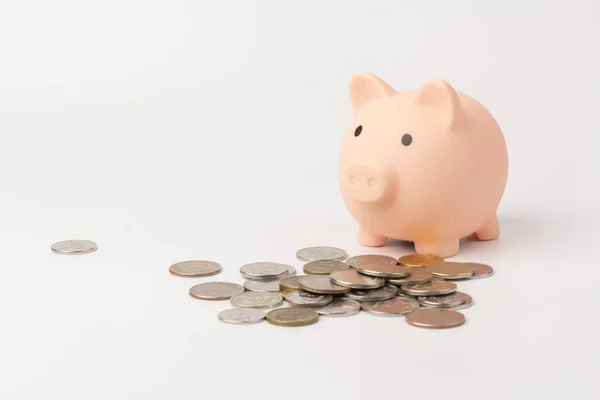 Cute Pink Piggy Bank Close Isolado Fundo Branco Poupança Investimento — Fotografia de Stock