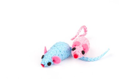 Beyaz arka planda izole edilmiş bir kedi için iki mavi ve pembe oyuncak fare.
