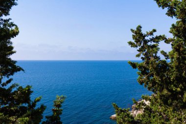 Güzel yaz manzarası ve deniz manzarası. Manzaralı. Çam ormanlarını ve temiz deniz havasını iyileştiriyor. Herkes için en iyi rahatlama. Yeşil ve mavi renkler..