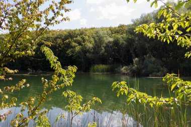 Yaz mevsiminde dağ gölü. Harika bir doğa manzarası. Sahilde uzun ağaçlarla kaplı kozalaklı orman berrak suları yansıtıyor. Bulutlu mavi gökyüzü. Güzel manzara