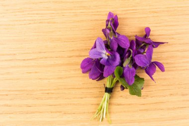 Tahta masadaki güzel Viola Kodorata çiçekleri. Metin için yer.  