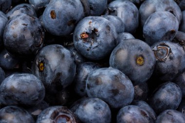 Beyaz arka planda izole edilmiş taze meyveler. Yakın plan.